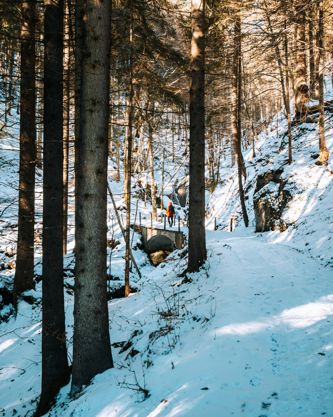 Hiking to the Leuenfall Waterfall while walking through a snowy forest in Appenzell, Switzerland.