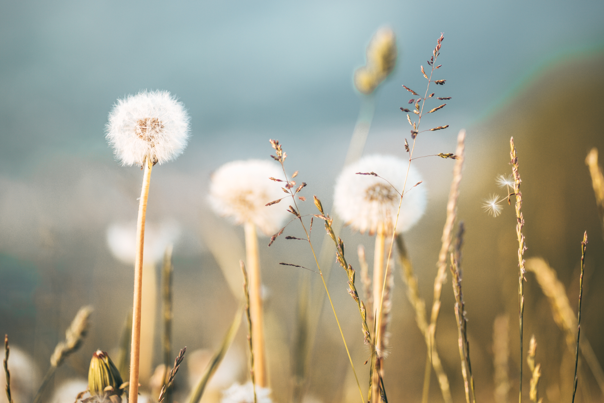 Best Time To Visit Switzerland: Spring
